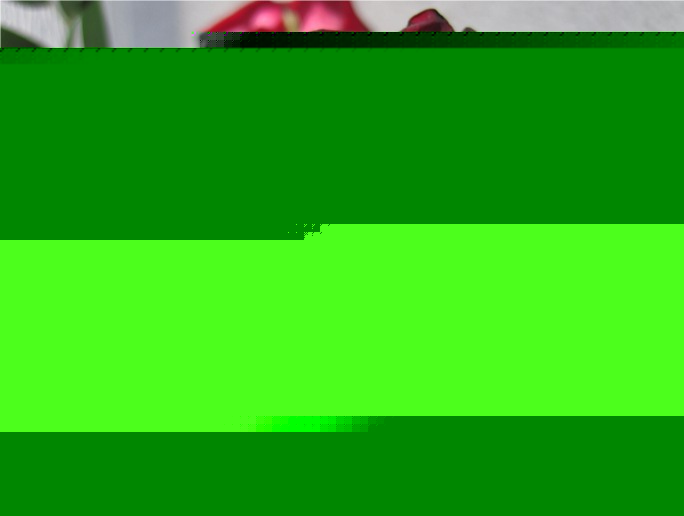 by-host-kamenz-programmierung-webdesign-hosting